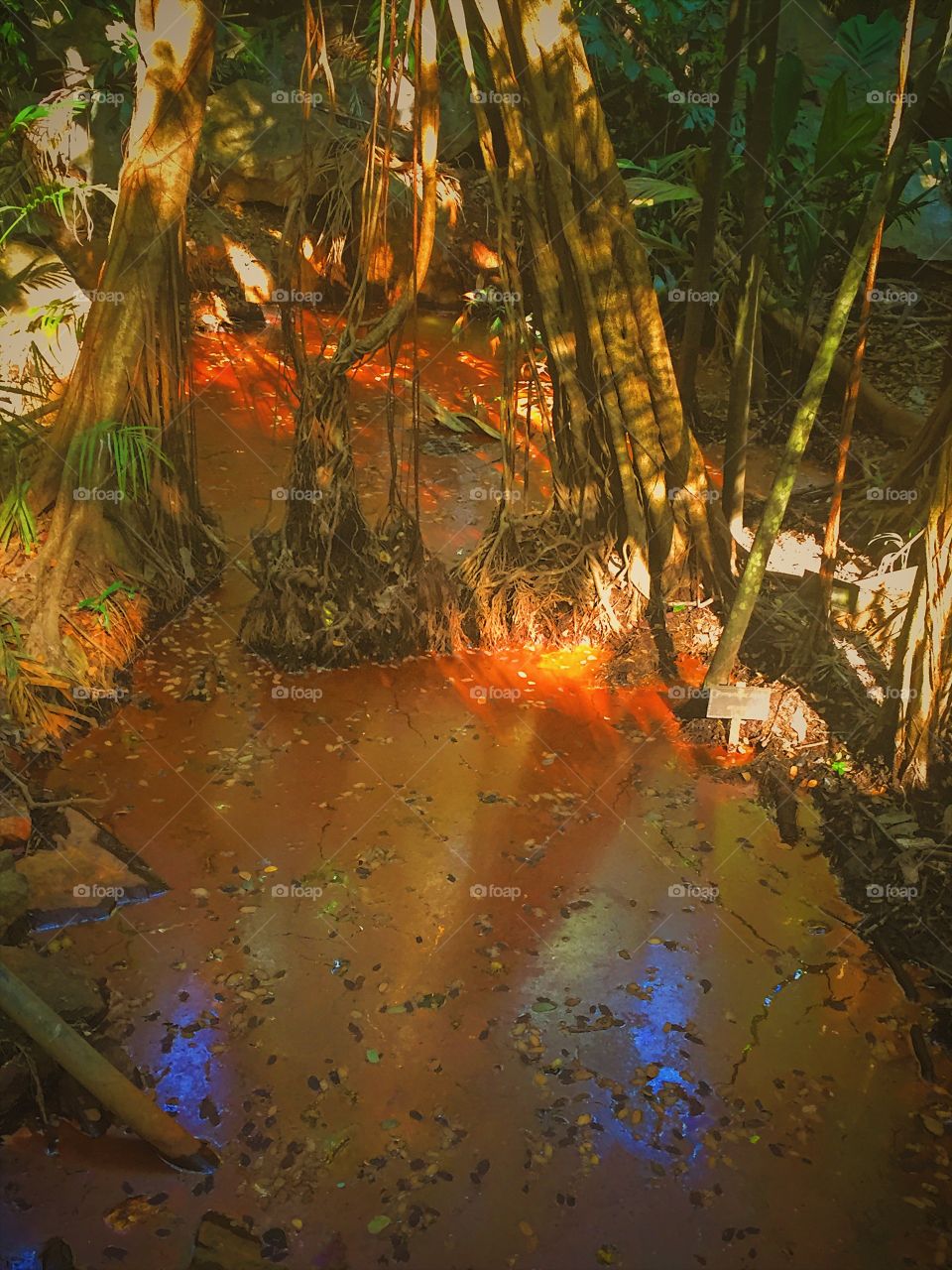 Stream of colour