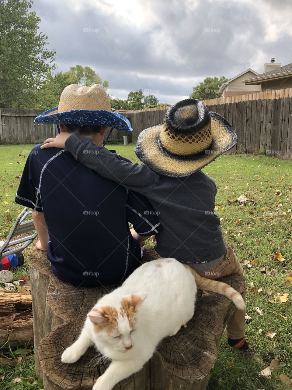 Boys with cowboy hats and cat