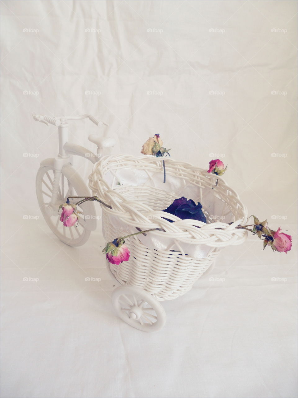 decorative toy bike and dried rose buds