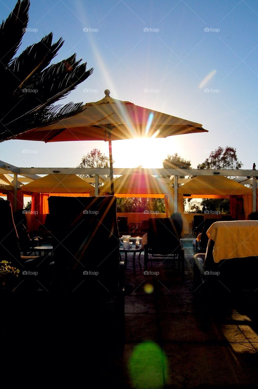 Late Afternoon Delight