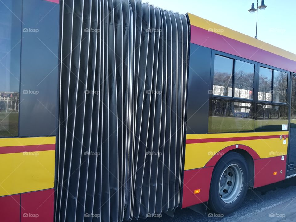 the articulated bus