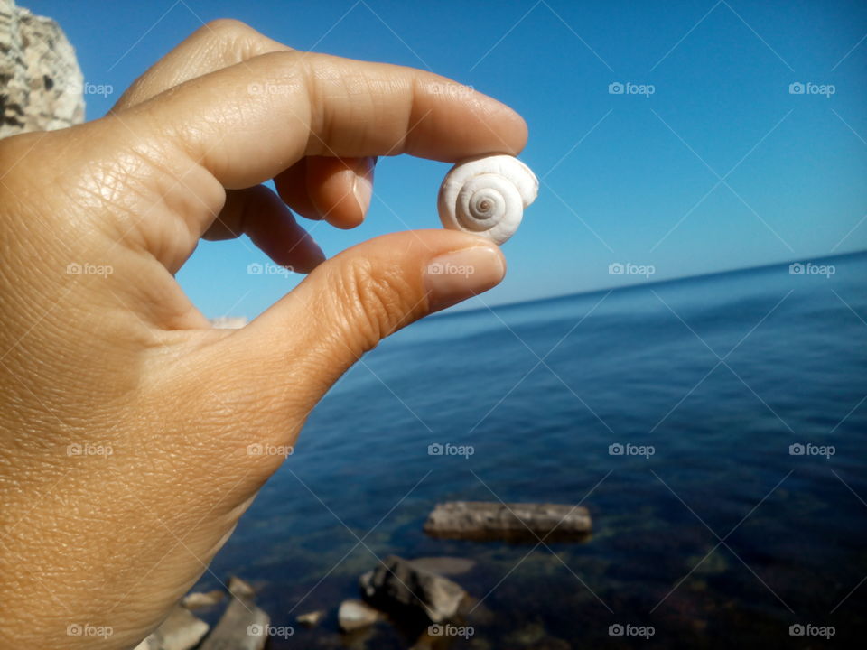 Beach, Hand, Water, Sea, Ocean