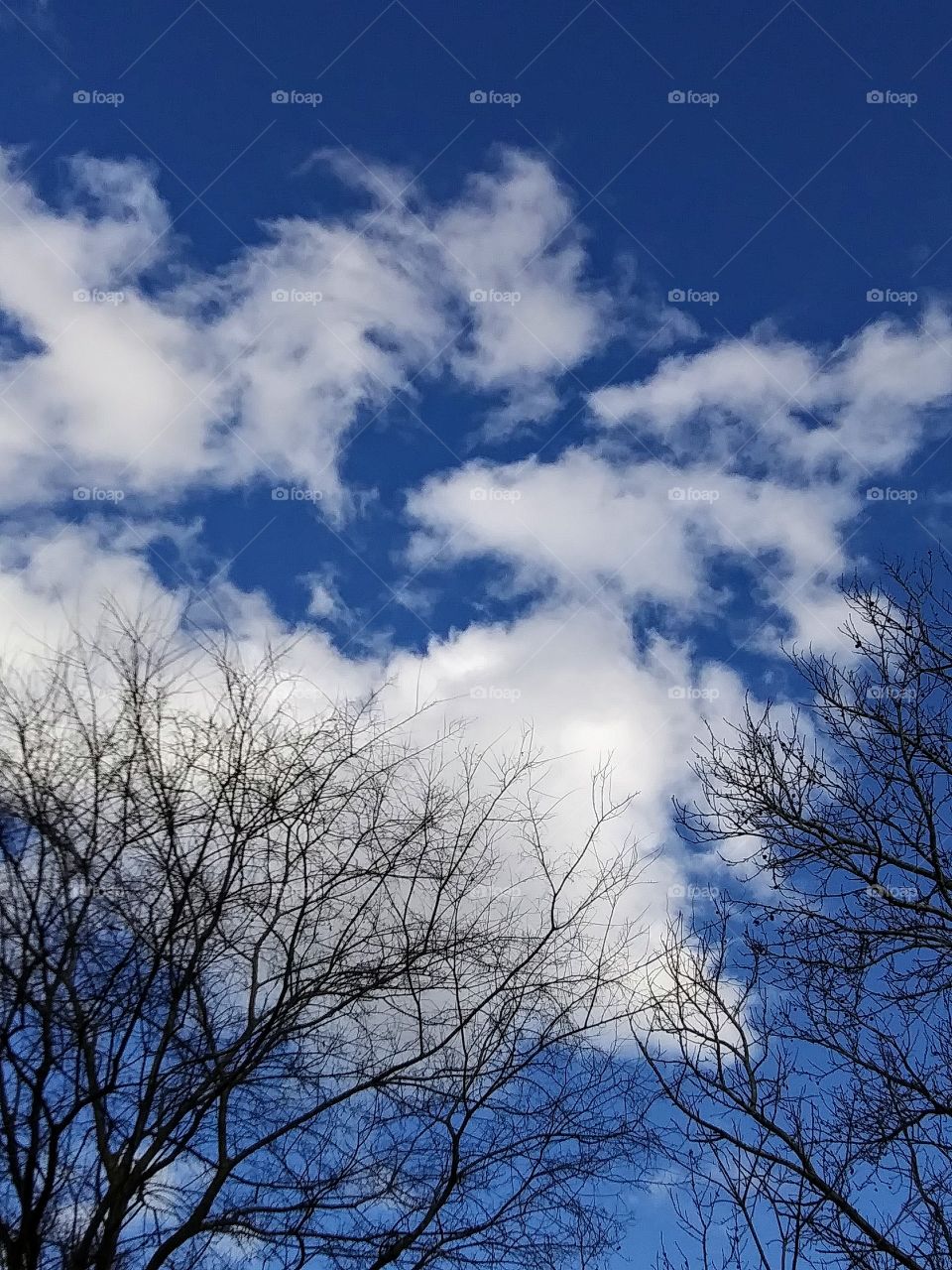 fluffy clouds in winter