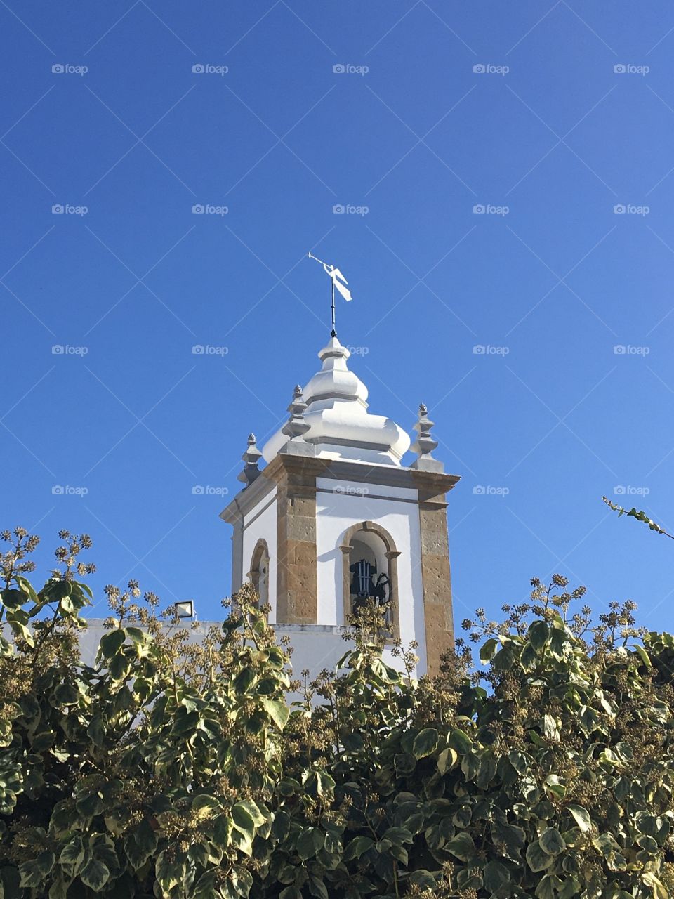 Steeple of a church above green leaves