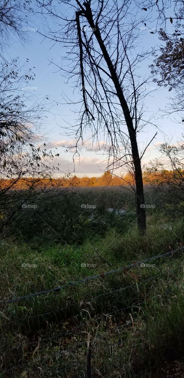 That view is marvelous.