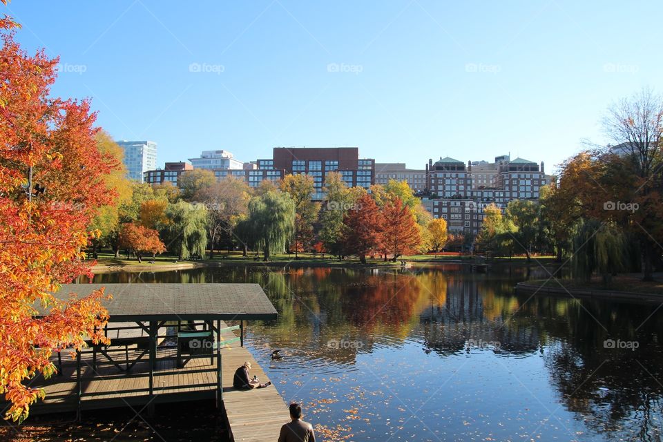 John B. Boston Commons Fall. 