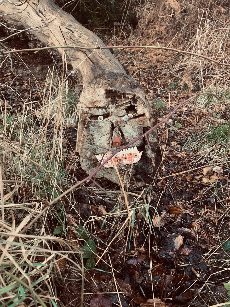 We don’t belong here!