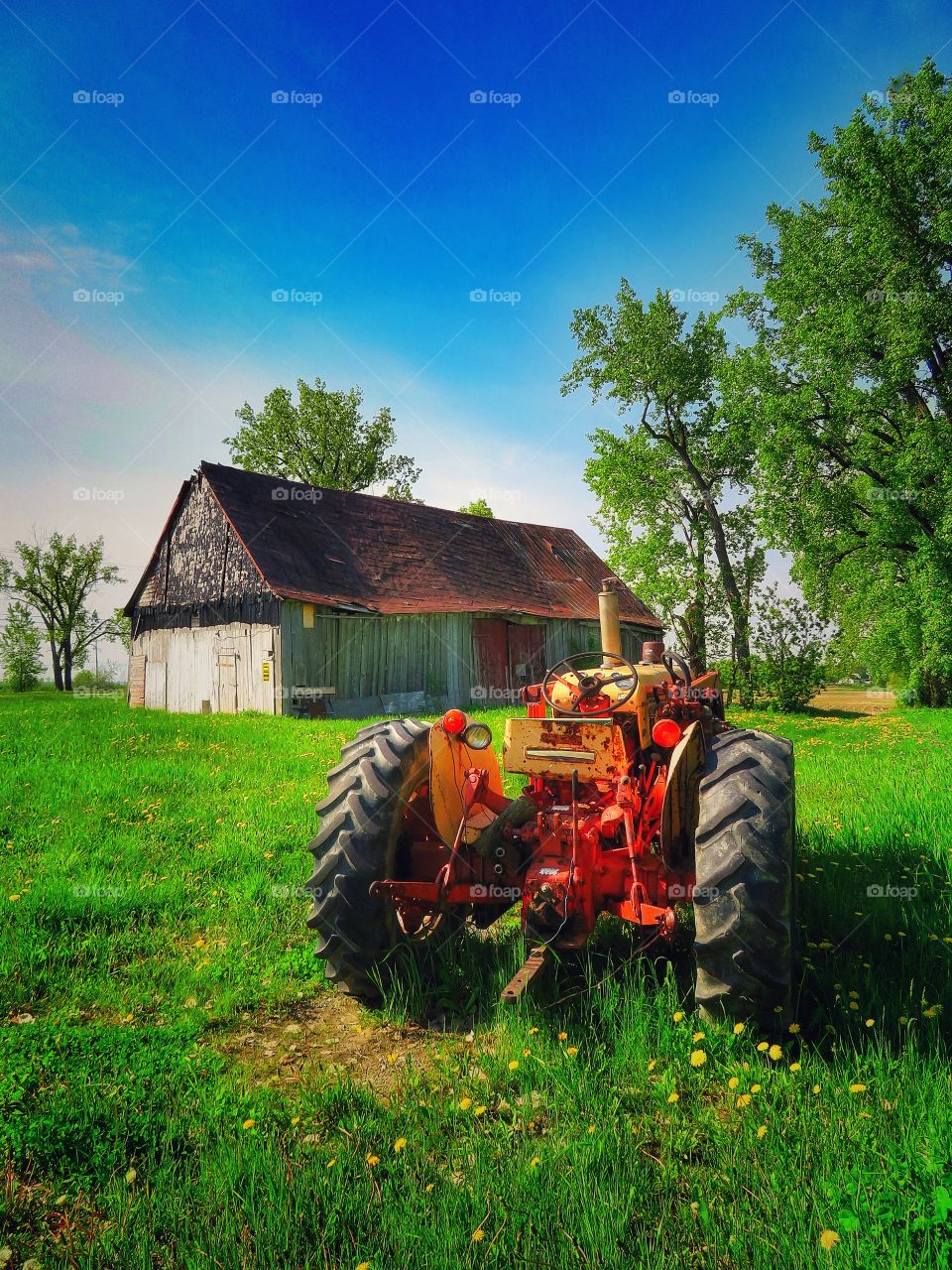 While cycling this Morning.....Varennes Quebec