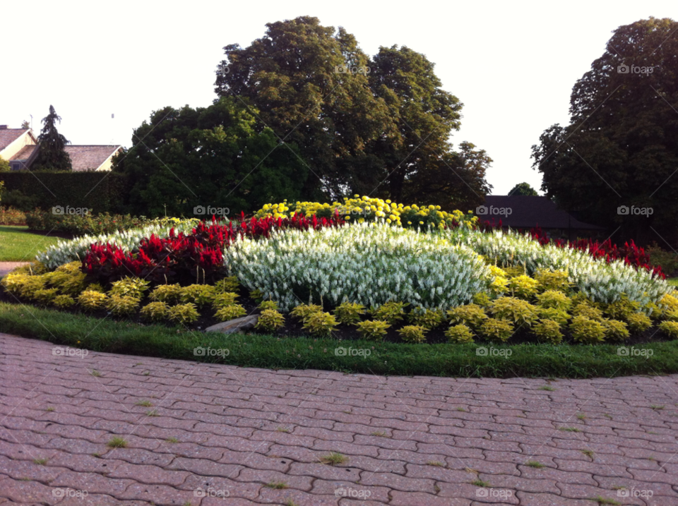 spring flowers summer hot by dodgercraz