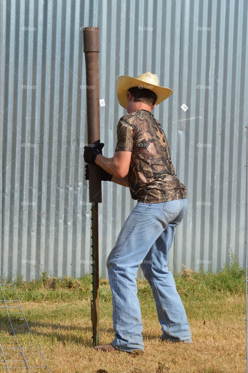 Young Texas cowboy driving fence post by hand. 
