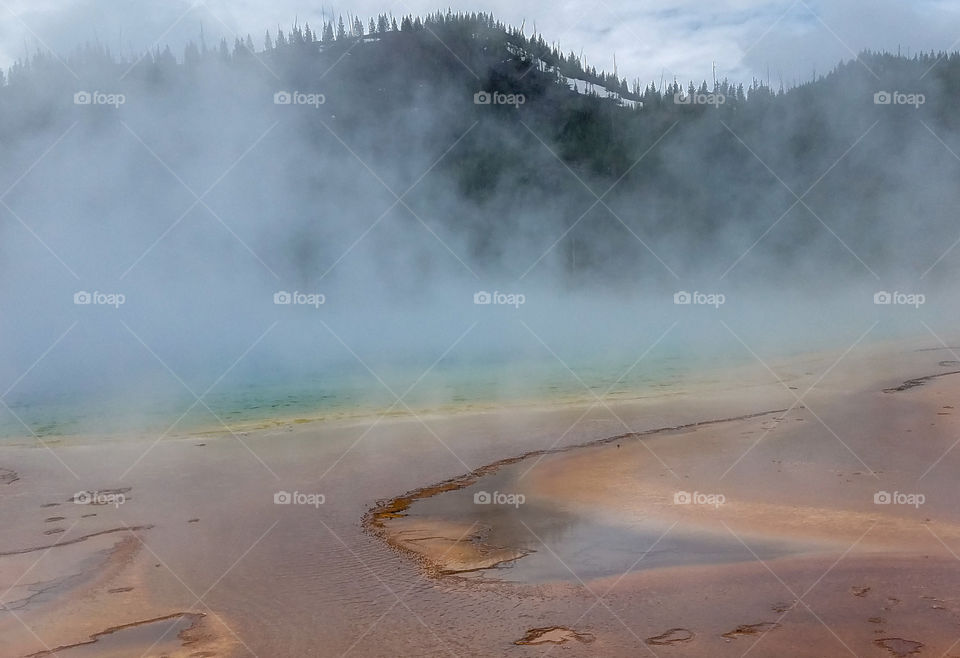 ground by the steaming pools in Yellowstone