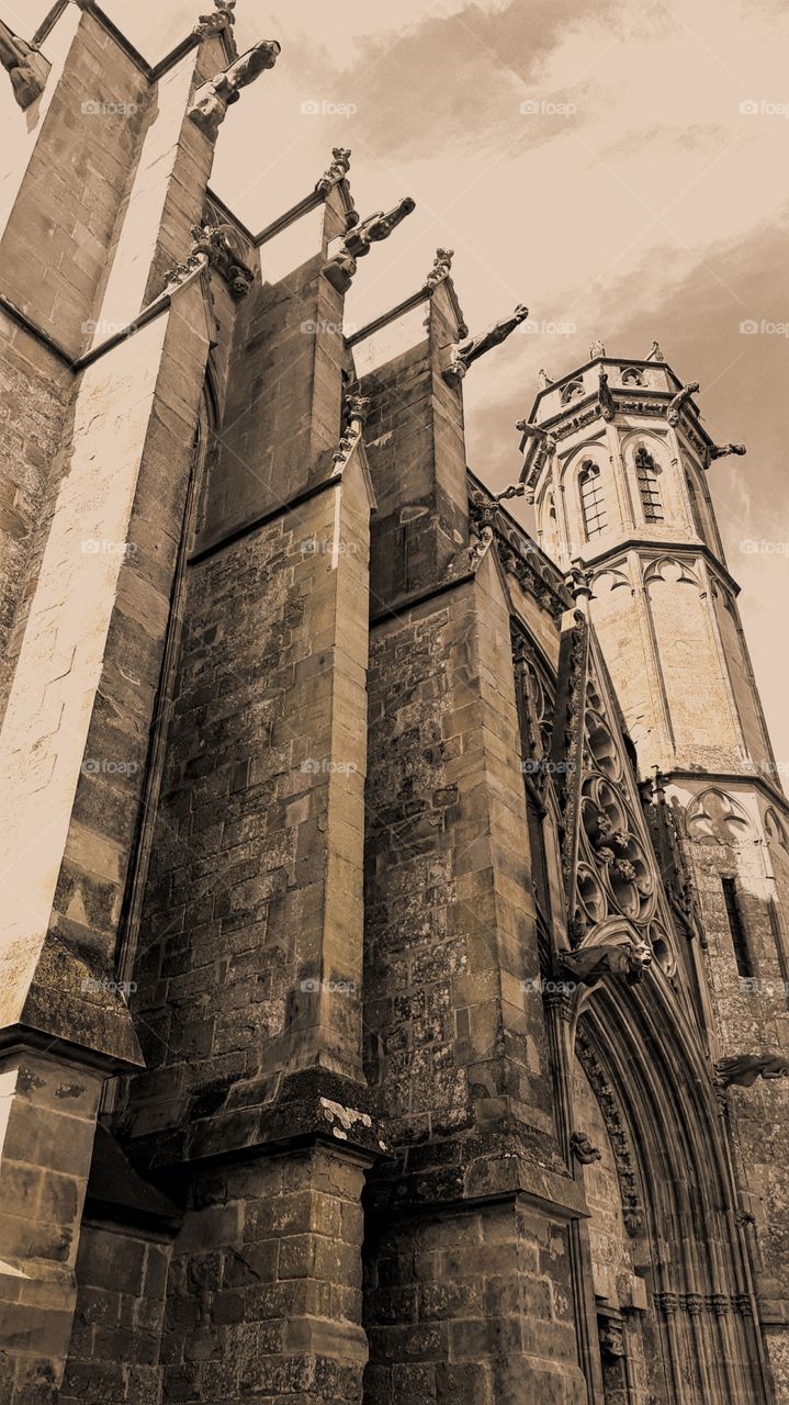 catedral carcasonne