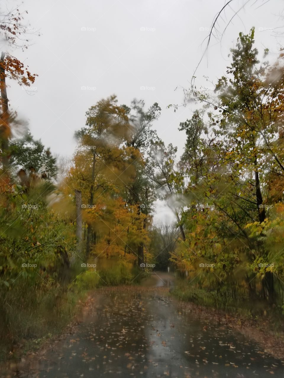 A Beautiful Rainy Autumn Day In Wisconsin Through A Raindrop Covered Windshield.
