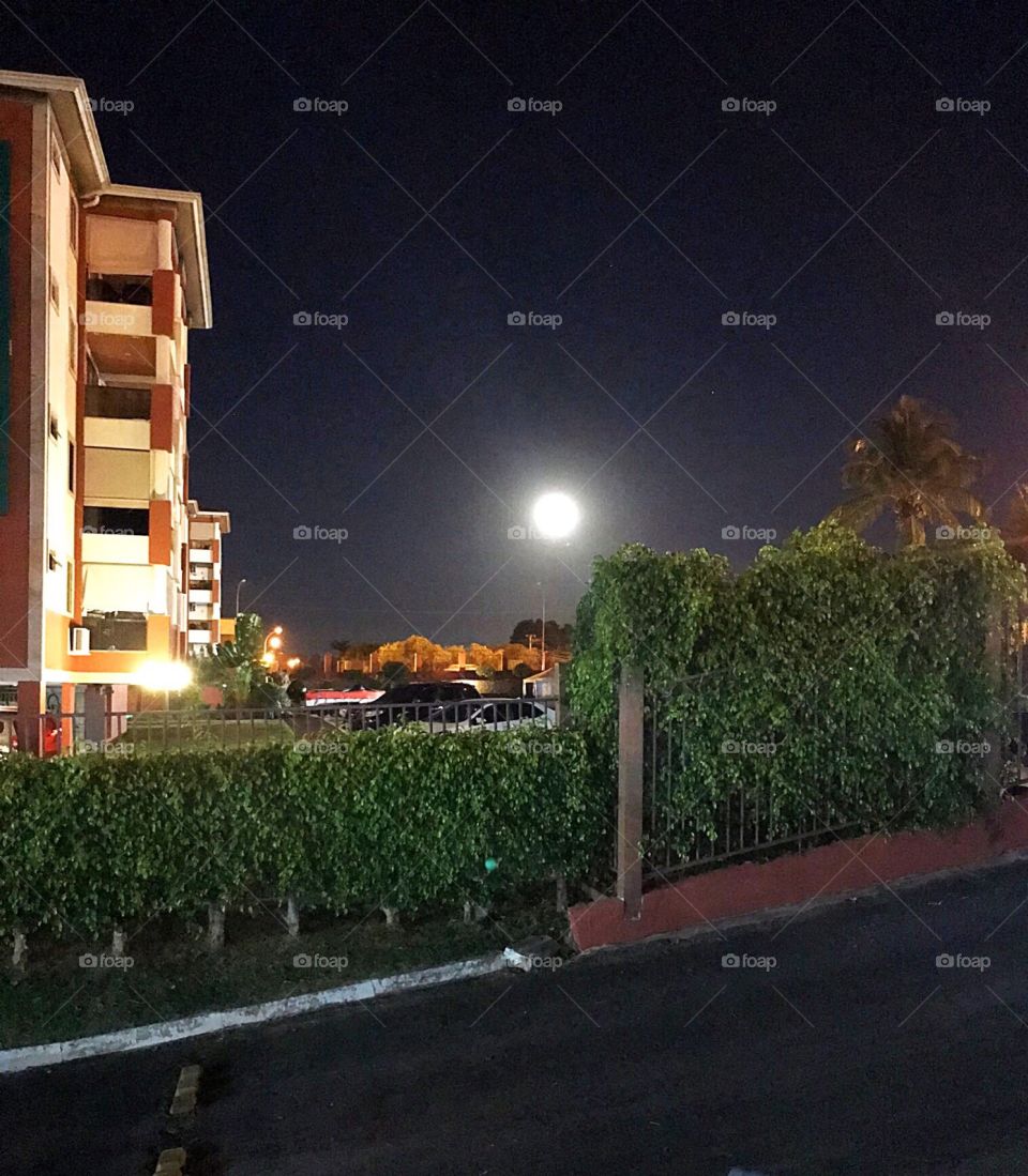 Moonlit night, view of a condominium lot.
