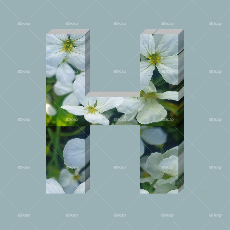 H alphabet 3d rendering of vertical white flowers alphabet