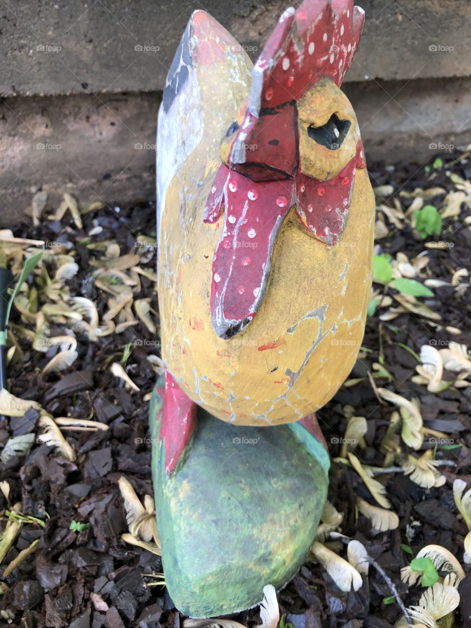 Chicken yard decor