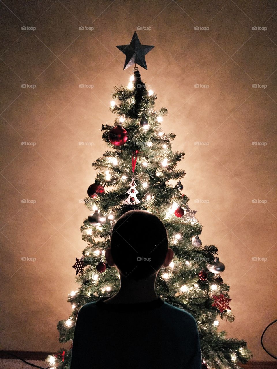 Rear view of a boy looking at illuminated christmas tree
