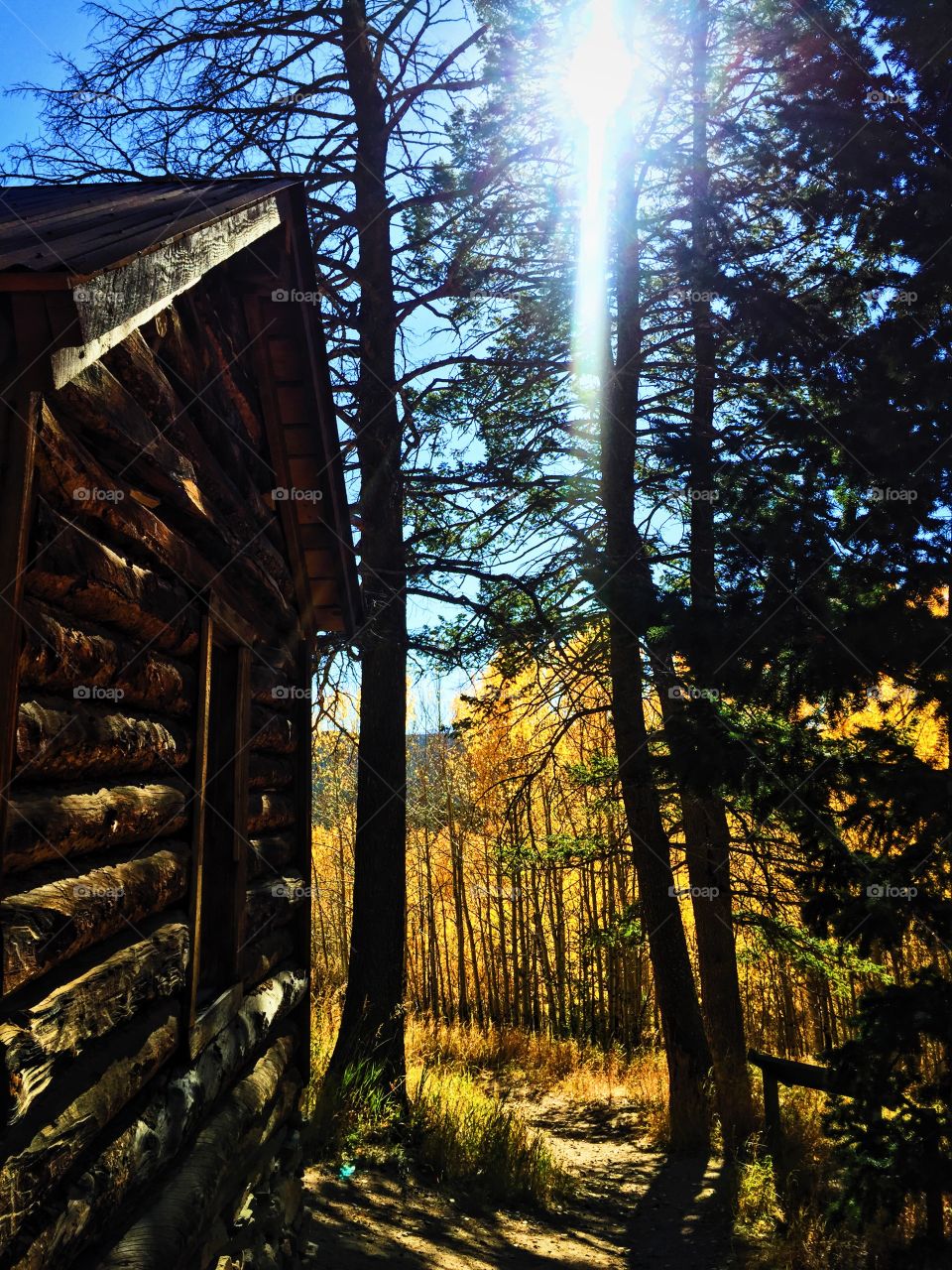 Cabin fever 1. Historic landmark in golden cate canyon state park, CO