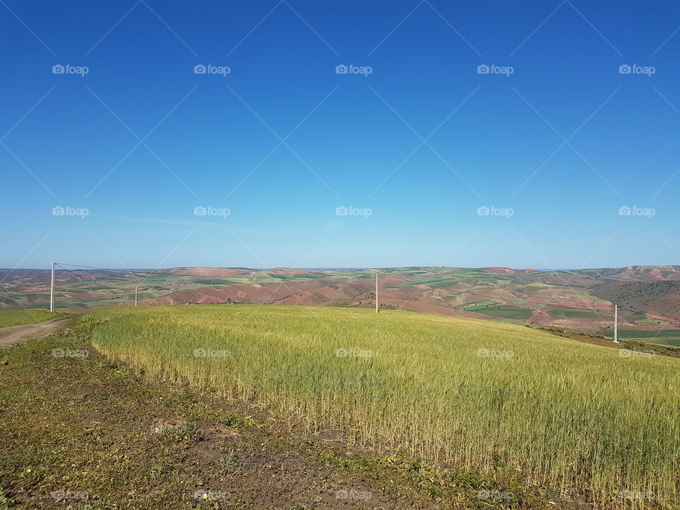 Nature _ Moroccan Fields
