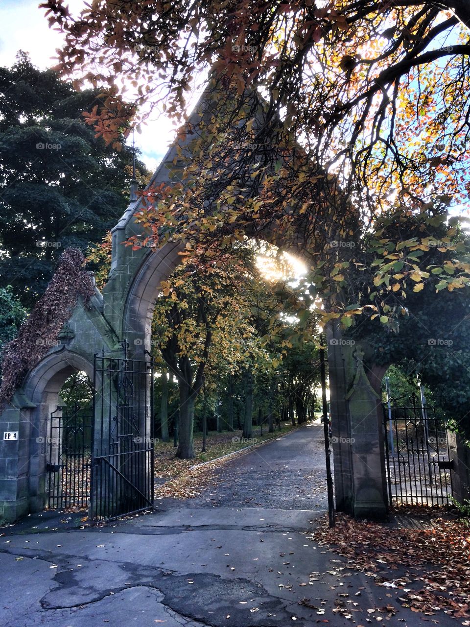 Open gate in autumn