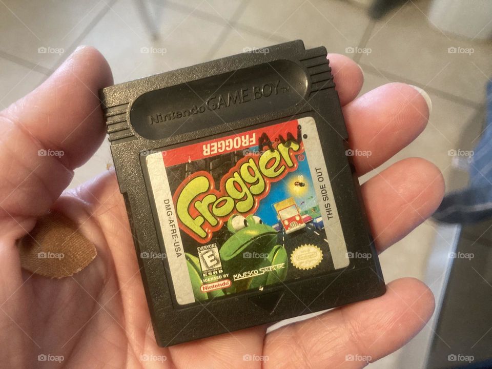 Frogger game boy game