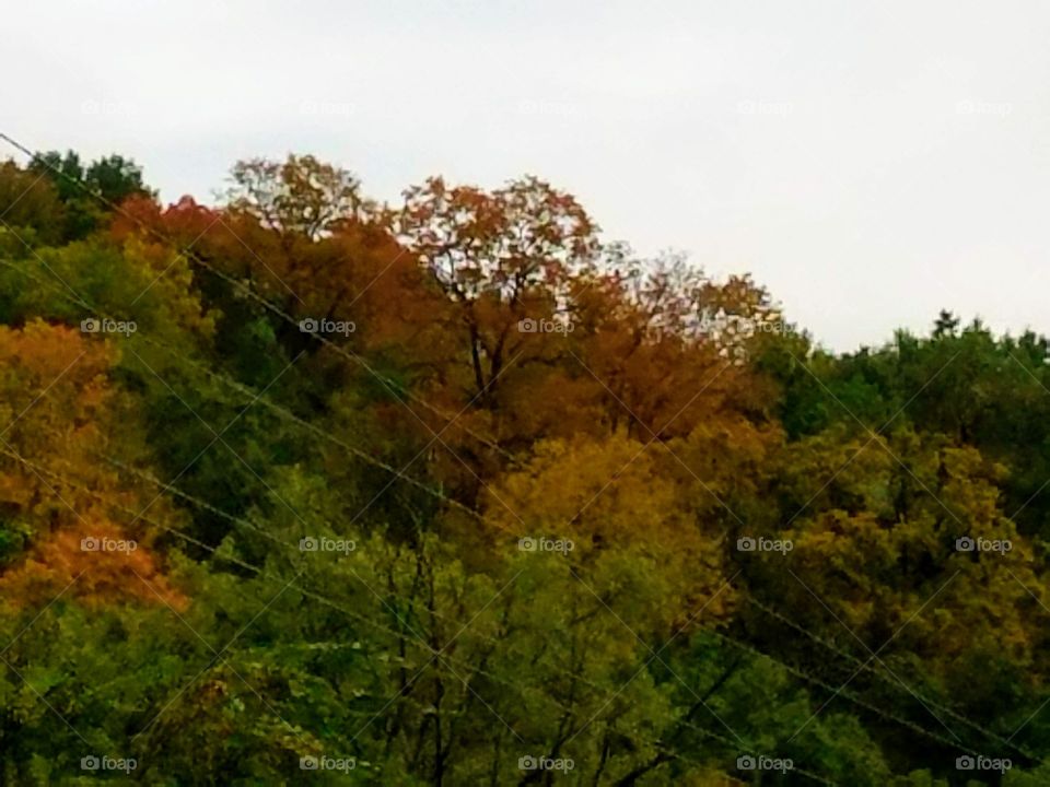 Driving the Back Roads and enjoying everything around us