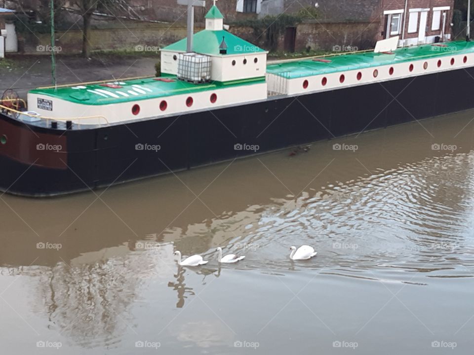 My life is a journey