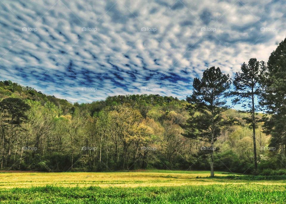 a rippled cloud sky over a hay field farm in Alabama