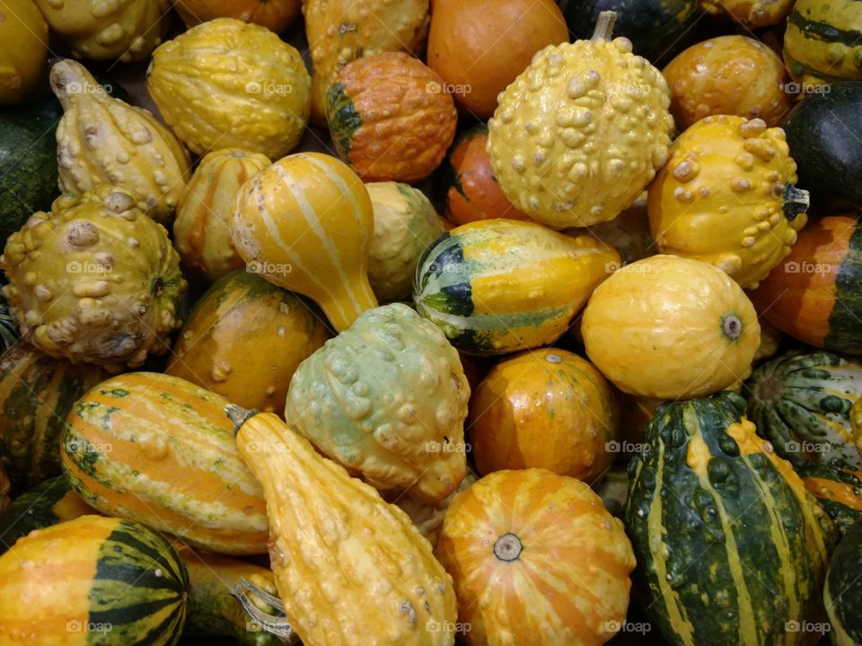 mix of gourds