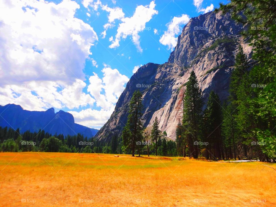 Where clouds touch the ground - Yosemite Valley, USA.