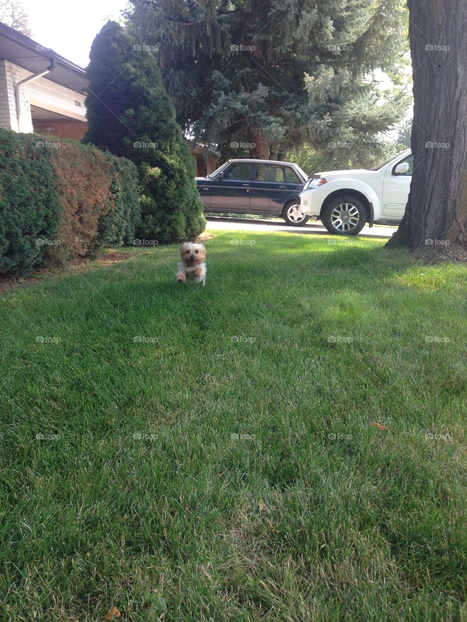 run to me . summer fun 
