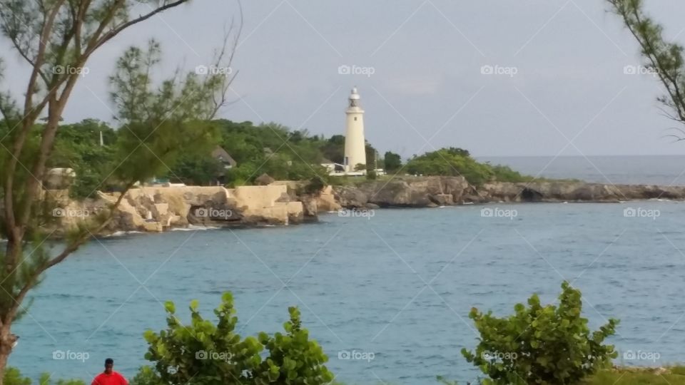 Water, Seashore, Lighthouse, Tree, Sea