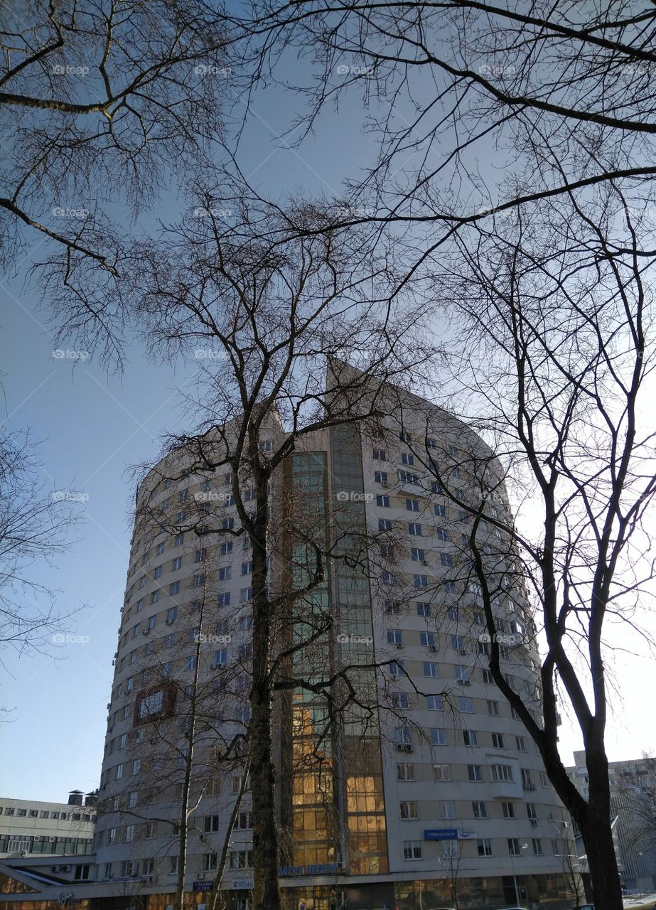 house and trees blue sky view cityscape