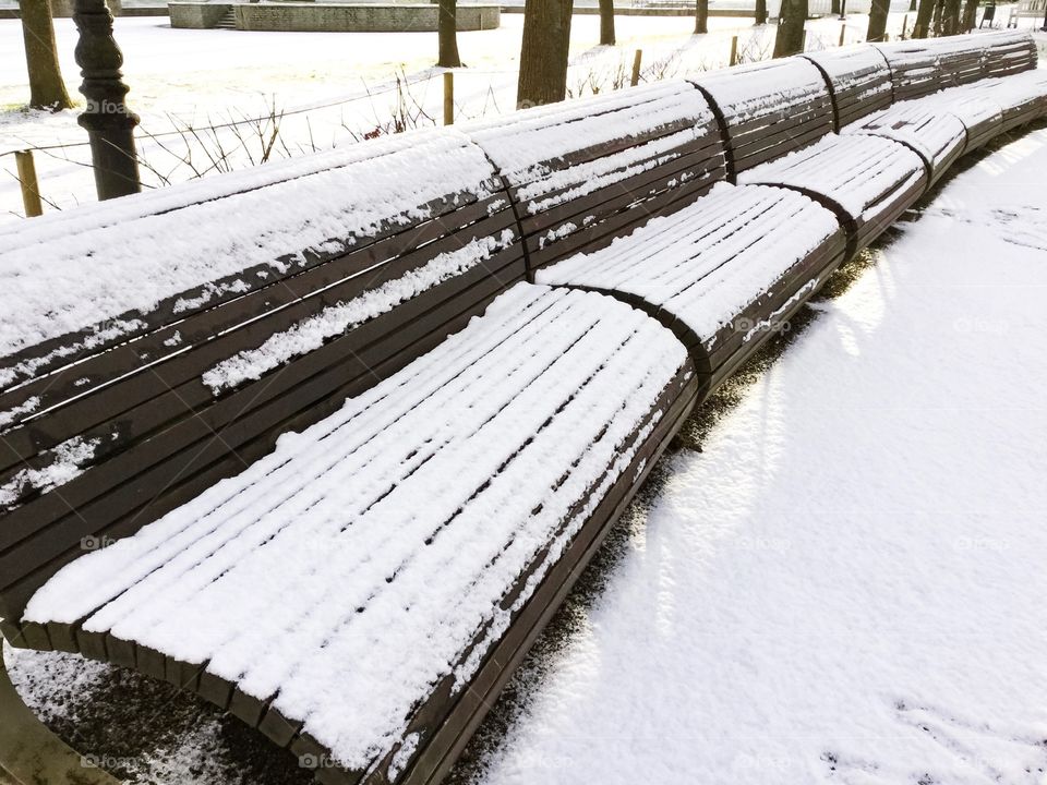 Park Winter Benches 