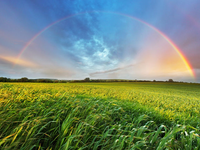 rainbow