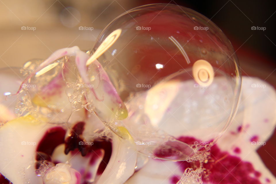 The world of bubbles & marbles 