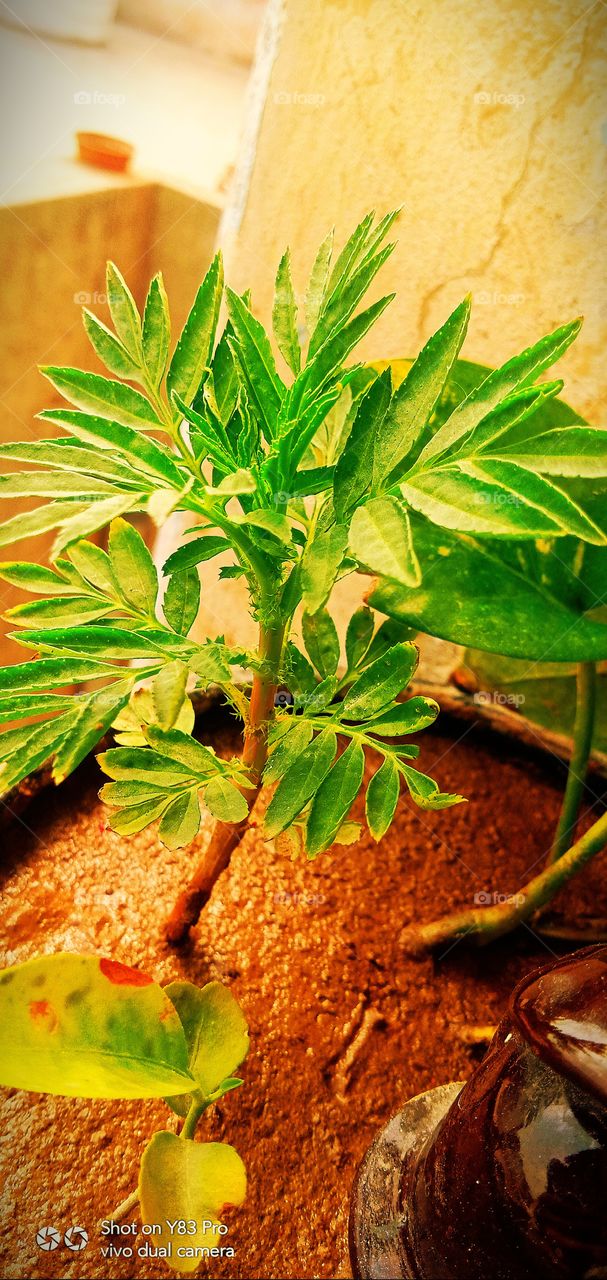 #today #love #instagram #instagood #like #follow #photography #life #photooftheday #me #happy #picoftheday #beautiful #instadaily #nature #fashion #photo #art #likeforlikes #smile #motivation #myself #now #style #day #selfie #music #insta #l #bhfyp