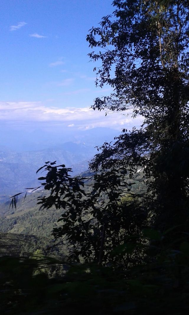 Hill view