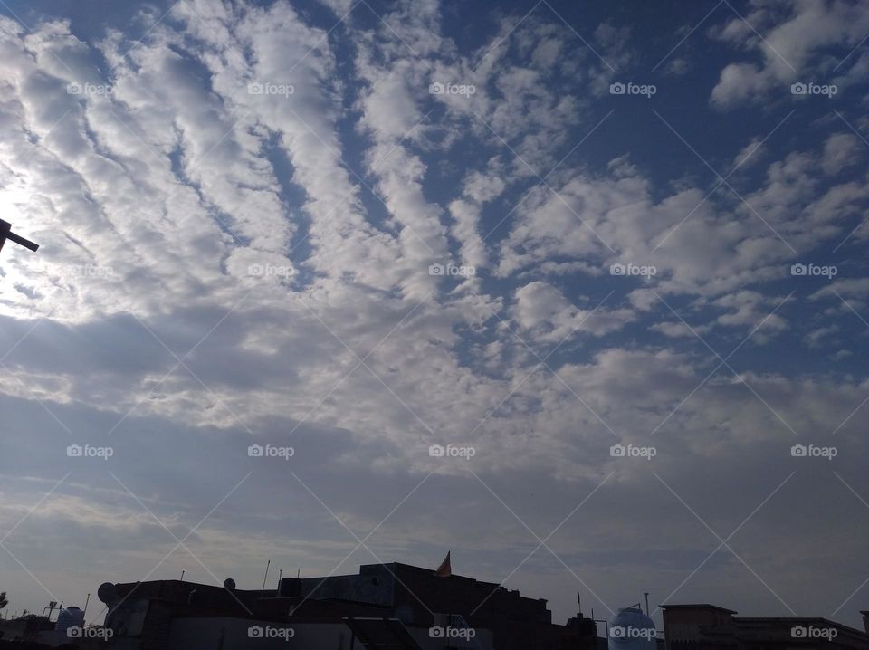 a shiney day white clouds whites cloud scattered dark tree looks very beautiful