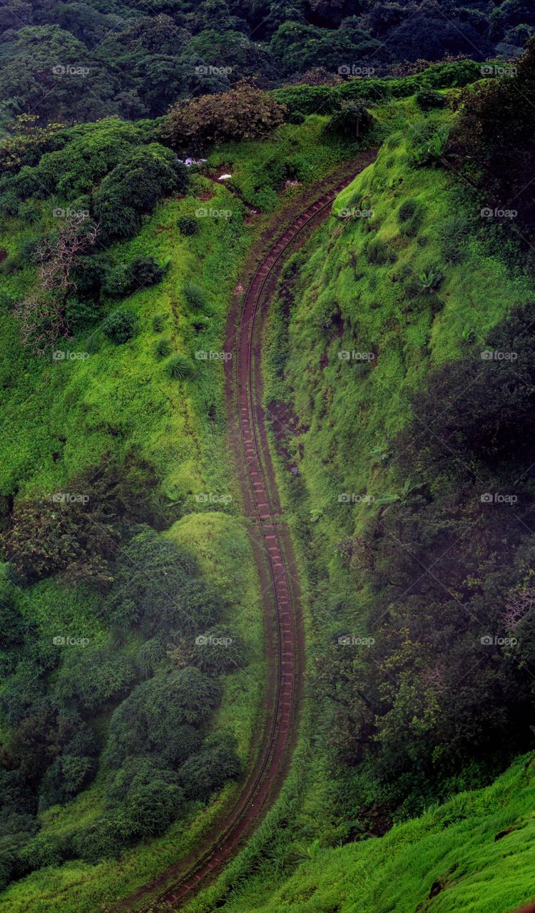 aerial view of curvy mysterious and abandoned railway track amidst green forest