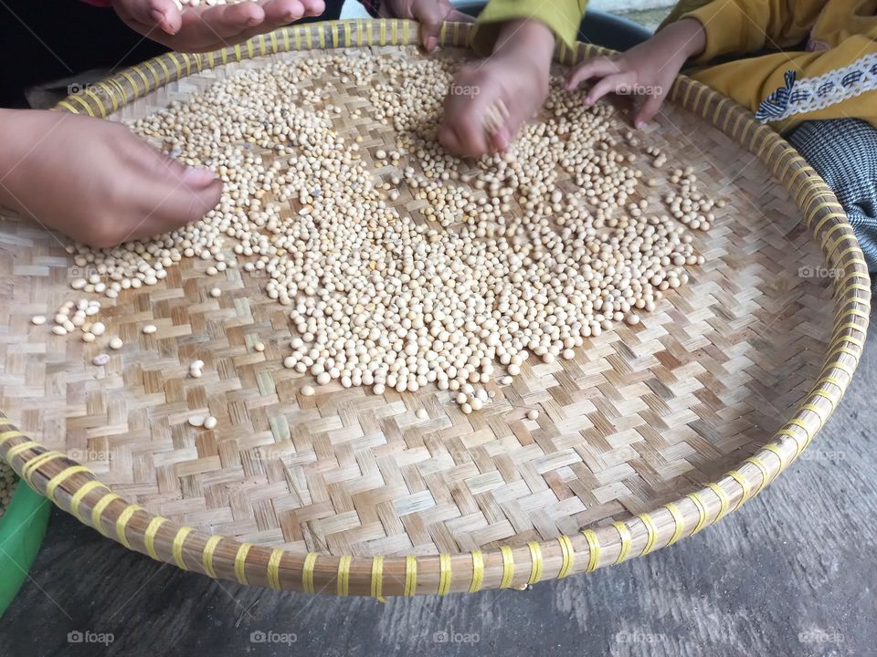 Soybean is a type of legume that is the basic ingredient of many foods from East Asia such as milk, soy sauce, tofu, and tempeh.