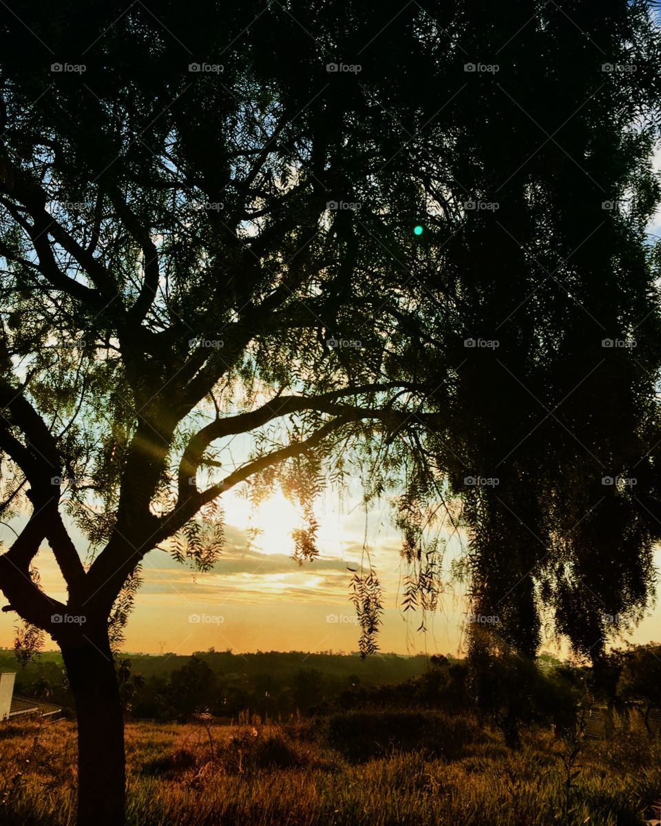 🌄🇺🇸 An extremely beautiful dawn in Bragança Paulista, interior of Brazil. Cheer the nature! / 🇧🇷 Um amanhecer extremamente bonito em Bragança Paulista, interior do Brasil. Viva a natureza! 