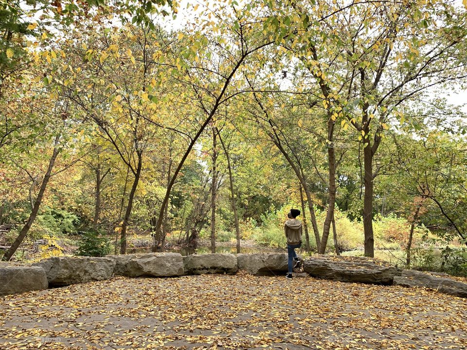 Beautiful but muted Autumn color, at the local creek. The leaves have mostly fallen. 
