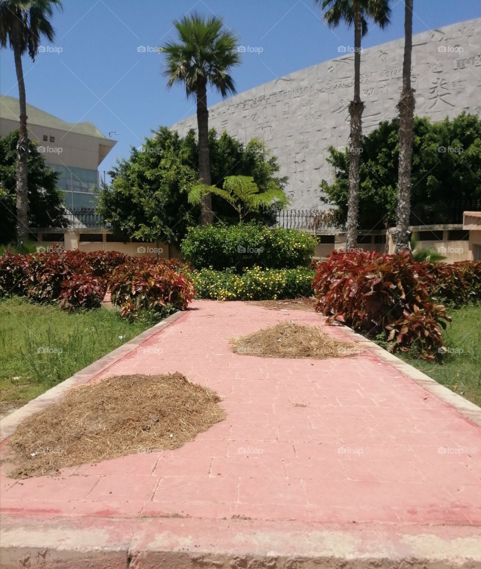 A beautiful little garden with blue skies, multicolored trees and flowers, and some buildings.