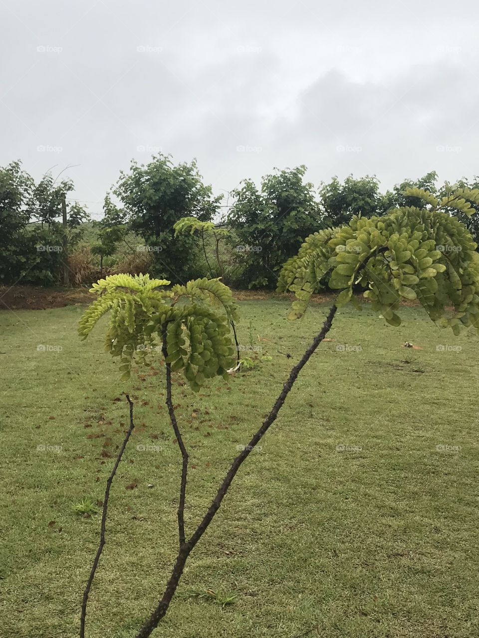 Some snaps near the highways condômino