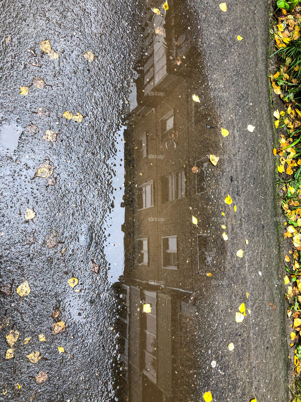 Лужи после дождика