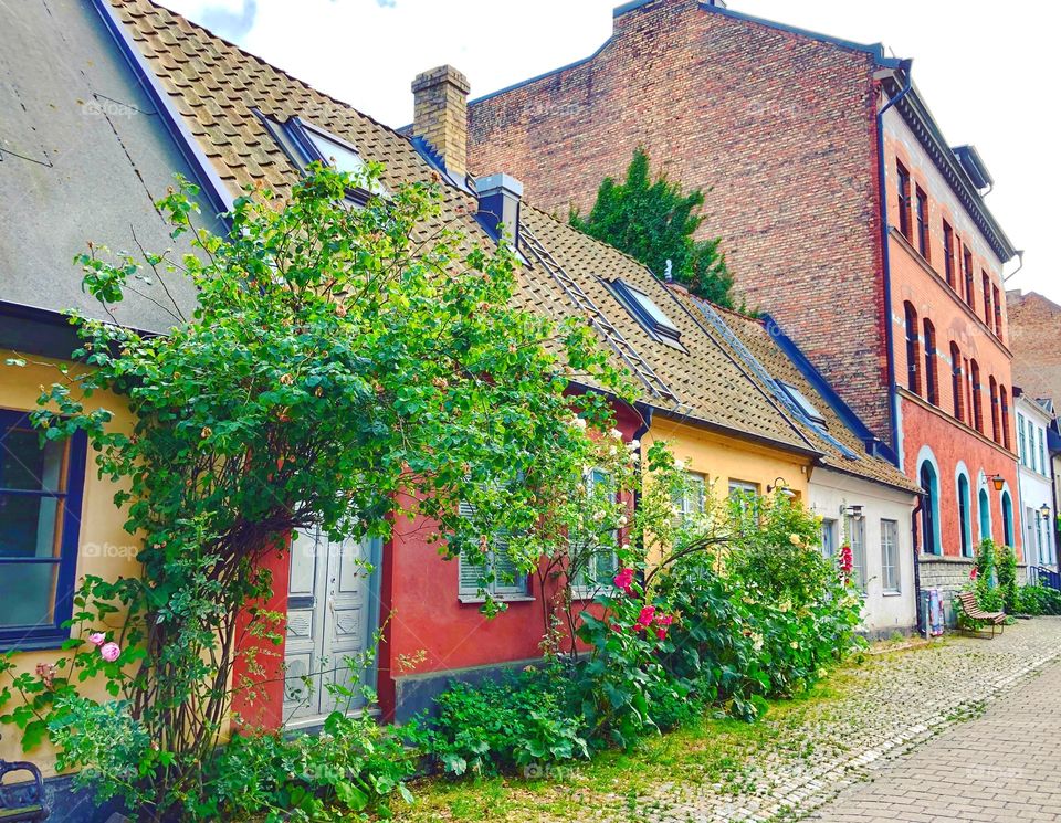 Oasis in the middle of the city