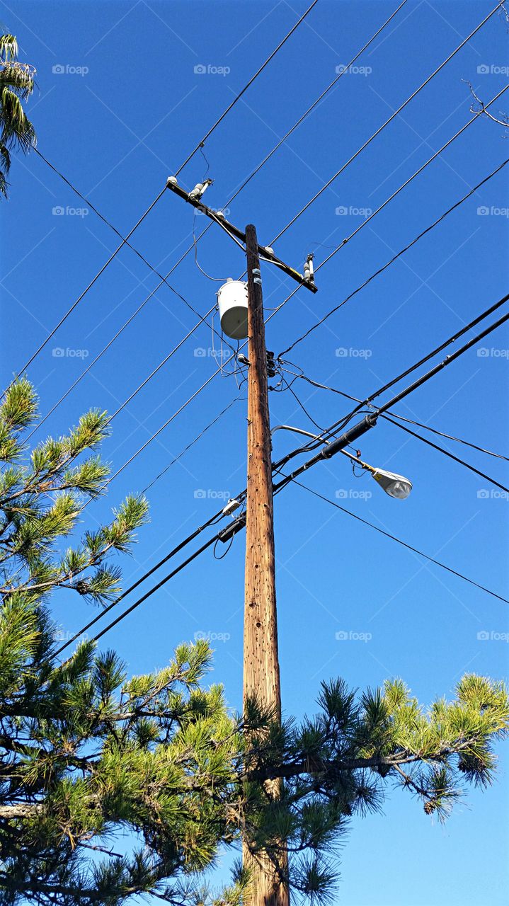 Utility Pole bringing Power to the People!