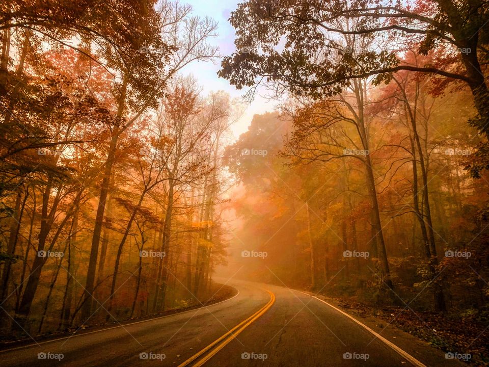 Foggy, Fall road in Tennessee 
