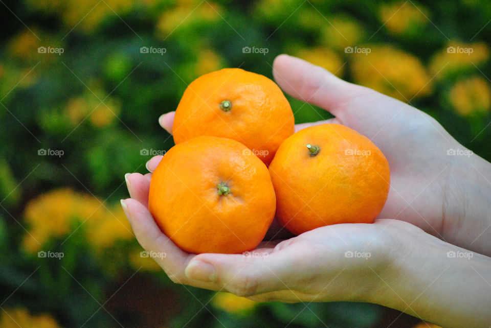 Human hand holding in orange